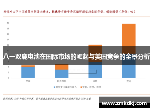 八一双鹿电池在国际市场的崛起与美国竞争的全景分析