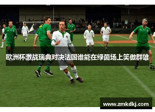 欧洲杯激战瑞典对决法国谁能在绿茵场上笑傲群雄